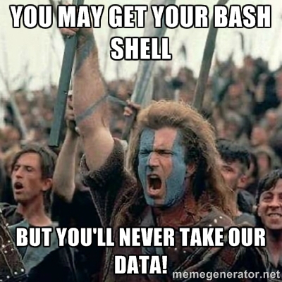 Braveheart declaring Shellshock won’t take our data